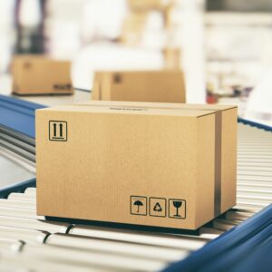 LUCID – Rejestracja firmy