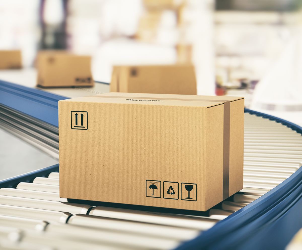 LUCID – Rejestracja firmy